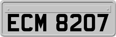 ECM8207