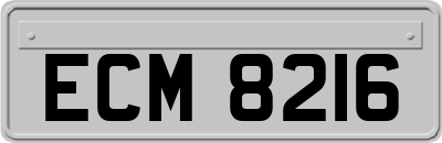 ECM8216