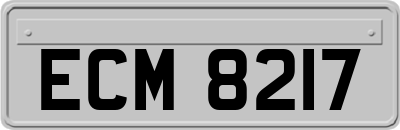ECM8217