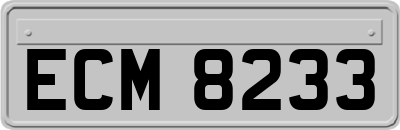 ECM8233