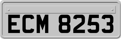 ECM8253