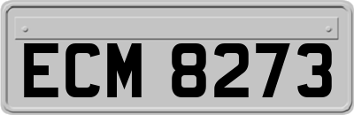 ECM8273
