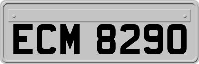 ECM8290