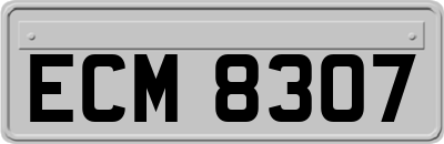 ECM8307