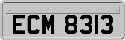 ECM8313