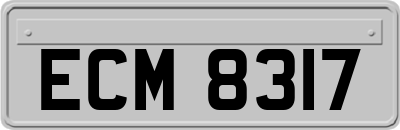 ECM8317
