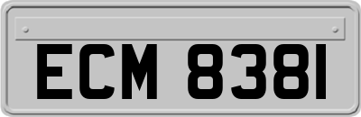 ECM8381