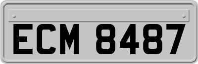 ECM8487