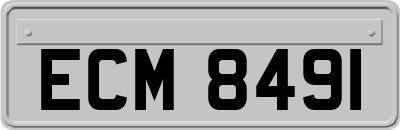 ECM8491
