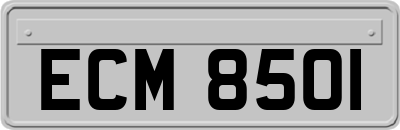 ECM8501