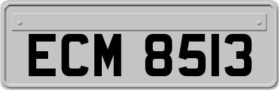 ECM8513