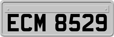 ECM8529