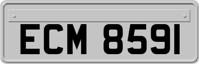 ECM8591