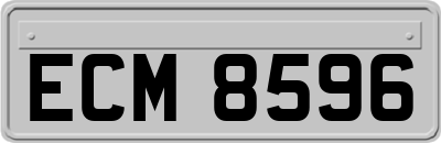 ECM8596