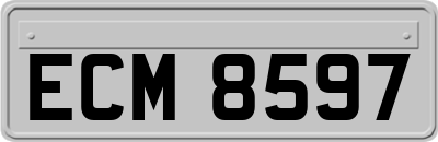 ECM8597