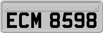 ECM8598