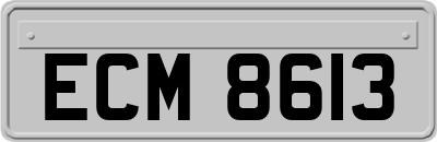 ECM8613