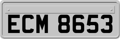 ECM8653