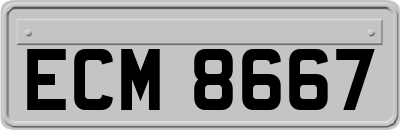 ECM8667