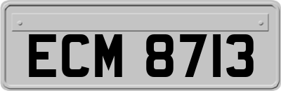 ECM8713