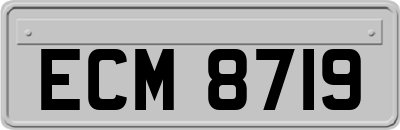 ECM8719