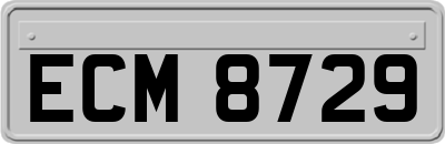 ECM8729