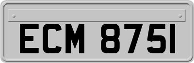 ECM8751