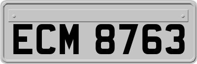 ECM8763