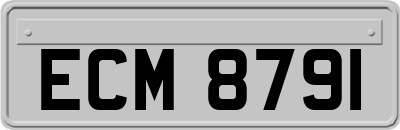 ECM8791