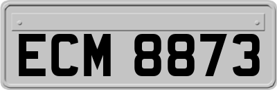 ECM8873