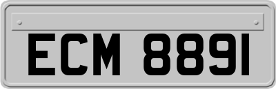 ECM8891