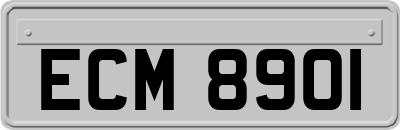 ECM8901