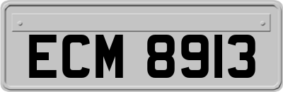 ECM8913