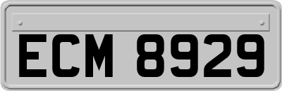 ECM8929