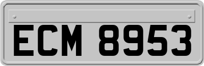 ECM8953