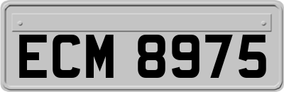 ECM8975