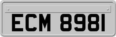 ECM8981