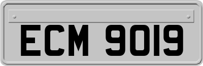 ECM9019