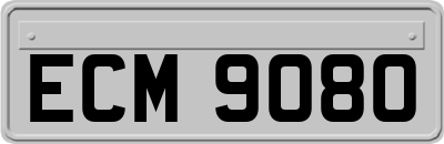 ECM9080