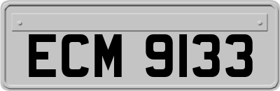 ECM9133