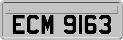 ECM9163