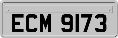 ECM9173