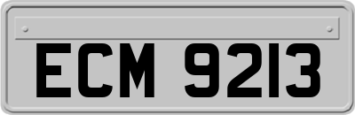 ECM9213
