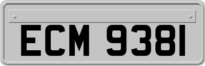 ECM9381