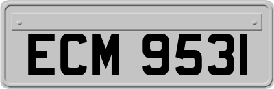 ECM9531