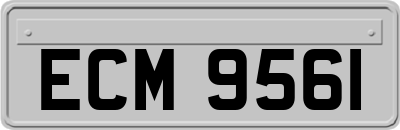 ECM9561