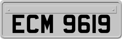 ECM9619