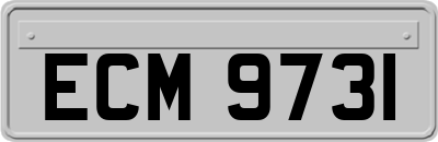 ECM9731
