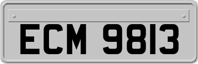 ECM9813