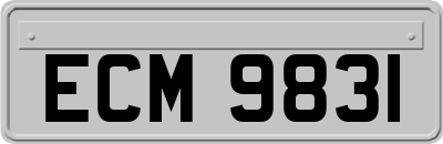 ECM9831